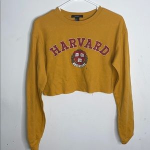 Harvard cropped tee